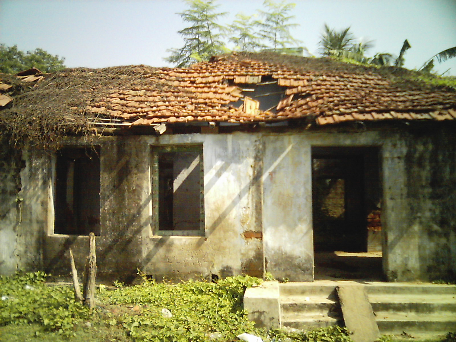 reco0149.jpg